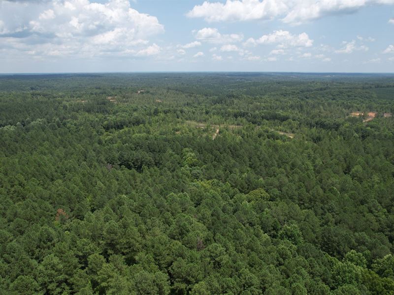 162 Acres, Elbert County, GA : Elberton : Elbert County : Georgia