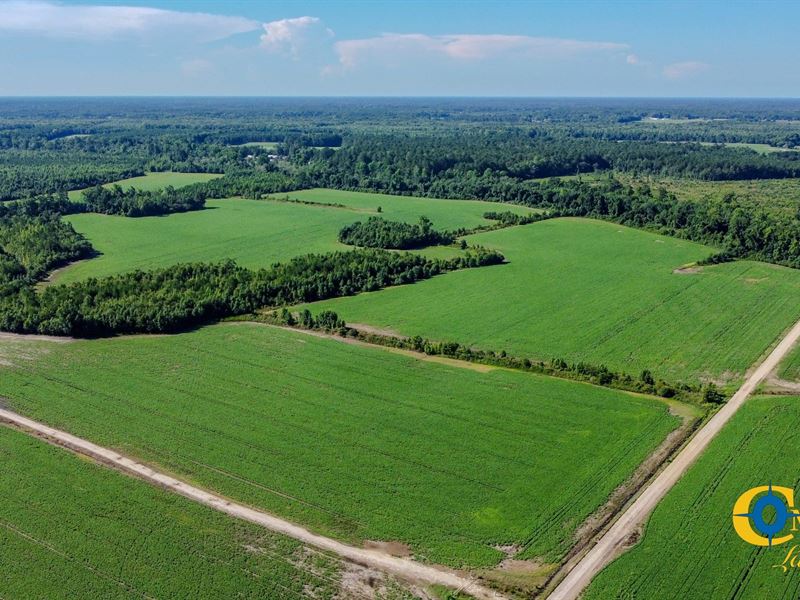 Grist Mill Farm : Timmonsville : Florence County : South Carolina