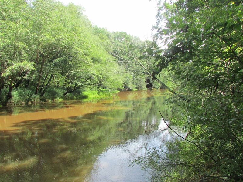 Lynches River Tract : Bishopville : Lee County : South Carolina