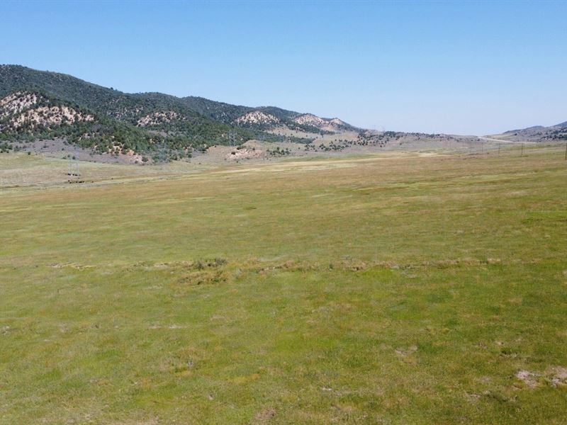 40 Mile Mountain Ranch Wet Meadow : Meeker : Rio Blanco County : Colorado