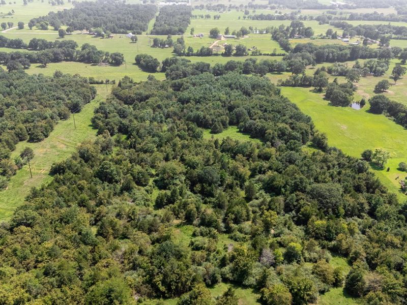 53.60 Acres in Waldron, Arkansas : Waldron : Scott County : Arkansas