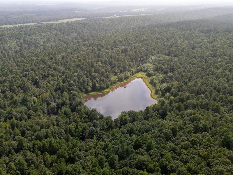 Square Rock Creek : Waldron : Scott County : Arkansas