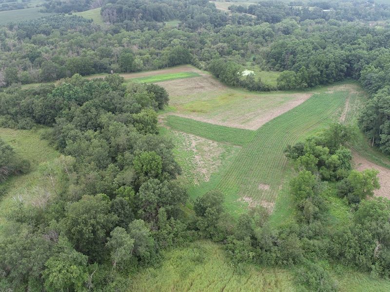 78.85 Acres Buffalo County, WI : Mondovi : Buffalo County : Wisconsin