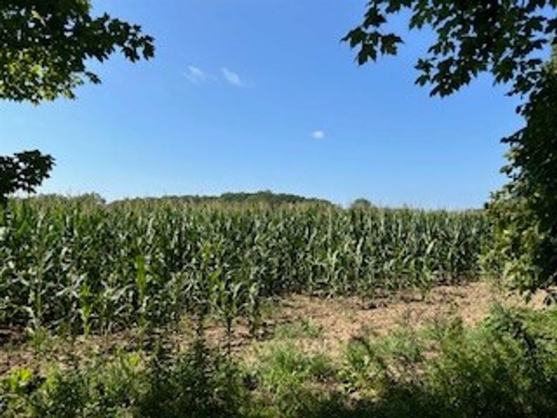 Tillable Land for Sale in Parke Cou : Carbon : Parke County : Indiana