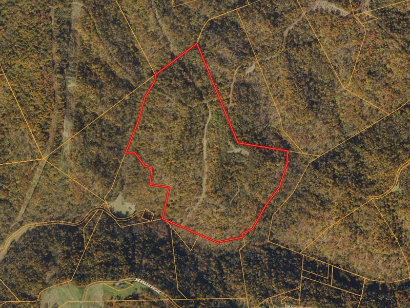 126 Acres in Wetzel County, WV : Proctor : Wetzel County : West Virginia