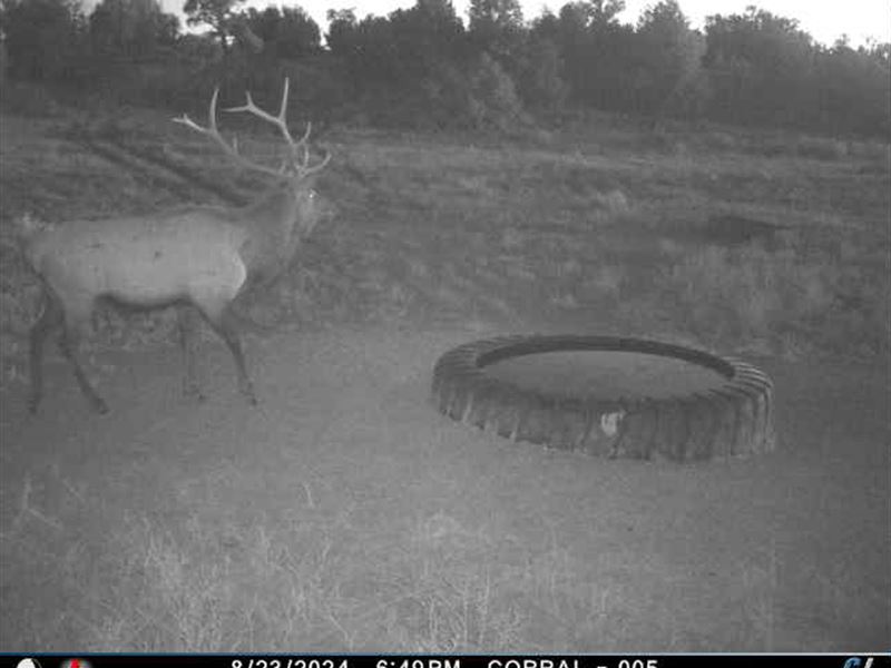 A Lazy A Ranch : Quemado : Cibola County : New Mexico