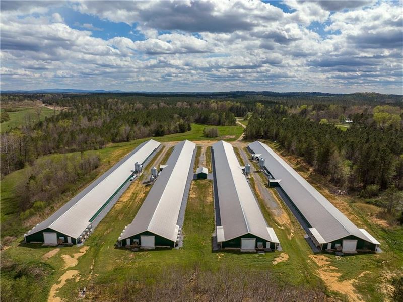 Pullet Farm, Residence & Acreage : Chatsworth : Murray County : Georgia