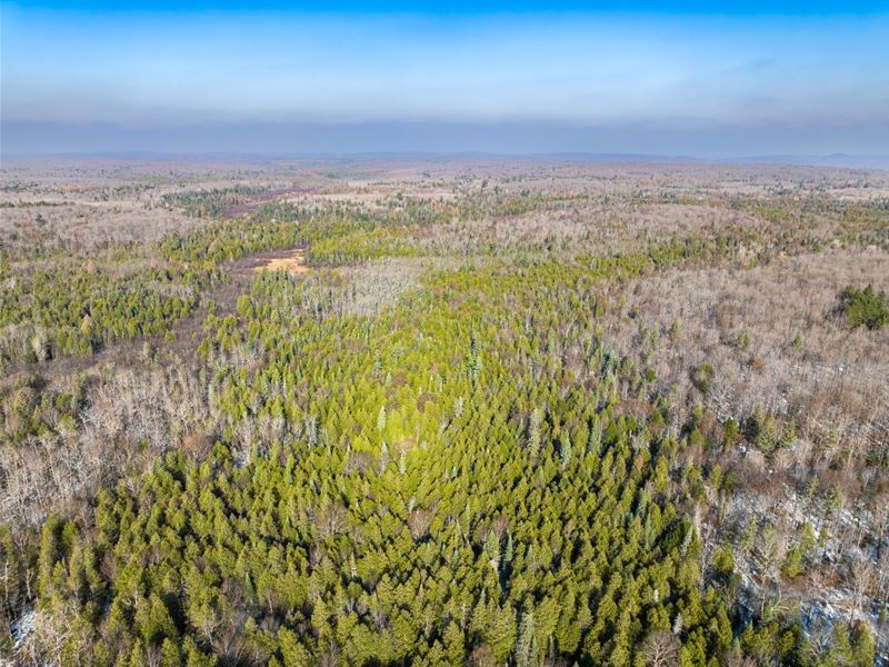 40 Acres on Presque Isle River : Marinesco : Gogebic County : Michigan