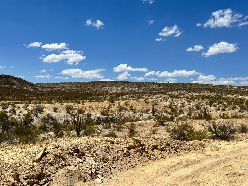 20 Acres in Brewster County, TX : Terlingua : Brewster County : Texas