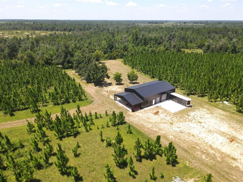 144.6 Acre Longleaf Pine Farm : Blountstown : Calhoun County : Florida