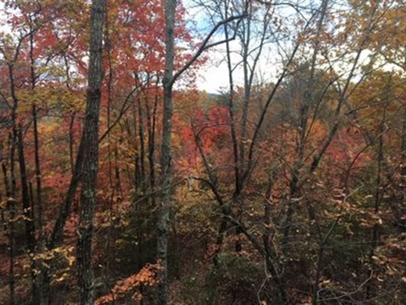 Spectacular 64+/- Acres : Soddy-Daisy : Hamilton County : Tennessee