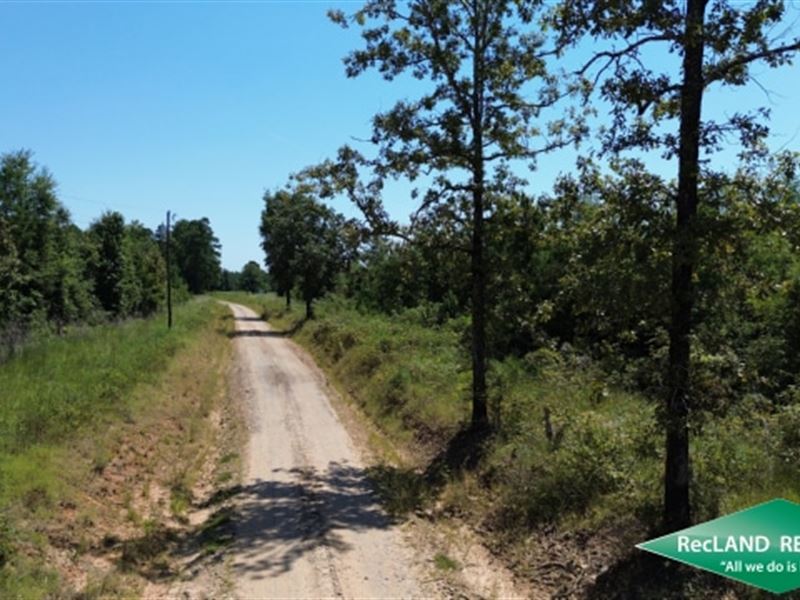 34 Ac, Wooded Tract for Homer Site : Ashland : Natchitoches Parish : Louisiana