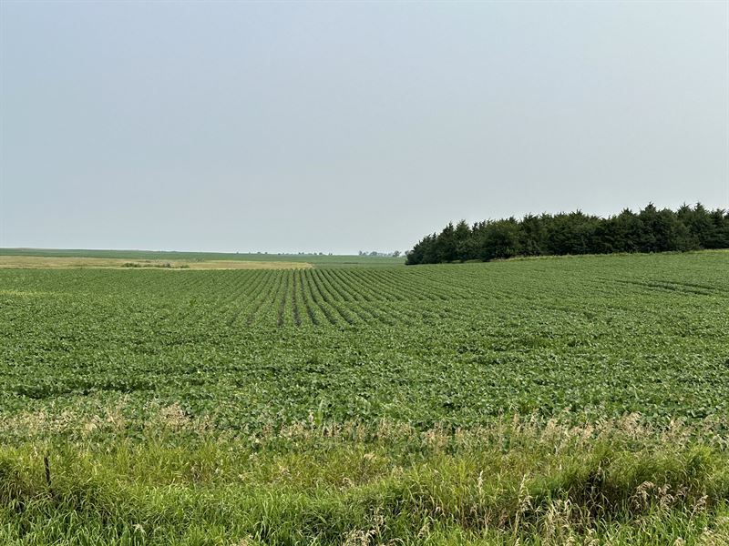 Great Farmland Investment : Webb : Iowa County : Iowa