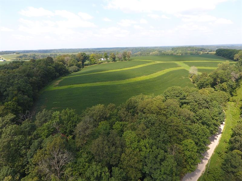 Ridgetop Beauty : Blue River : Richland County : Wisconsin