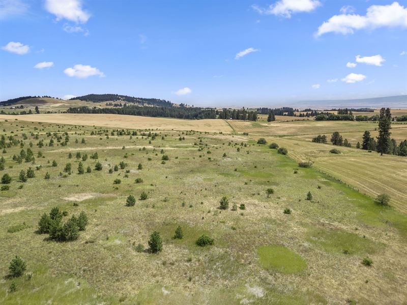 Keuterville Road : Keuterville : Idaho County : Idaho