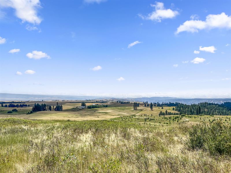 Keuterville Road : Keuterville : Idaho County : Idaho