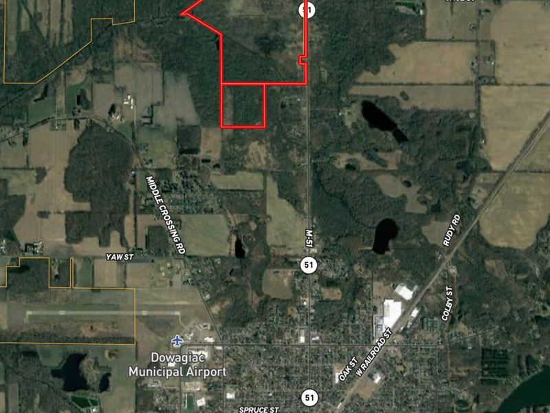 287 Acres Dowagiac River Land : Dowagiac : Cass County : Michigan