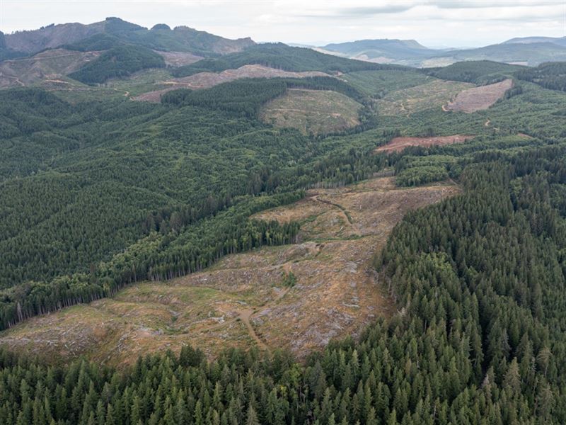 Saddle Mountain : Seaside : Clatsop County : Oregon