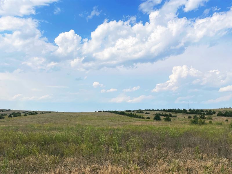 638 Acres, Box Butte County Crp : Alliance : Box Butte County : Nebraska