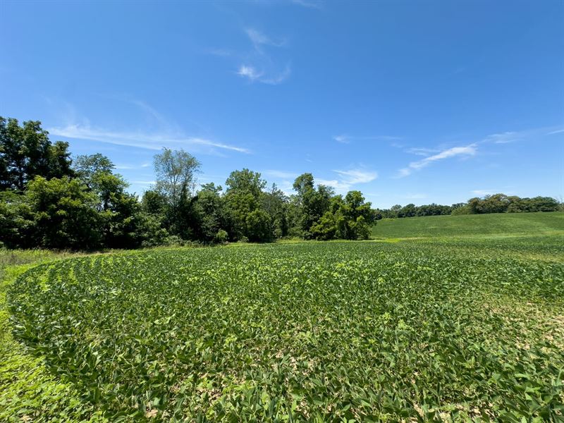 Trapp Lane Parcel 2, 15 Acres, Mu : Hopewell : Muskingum County : Ohio