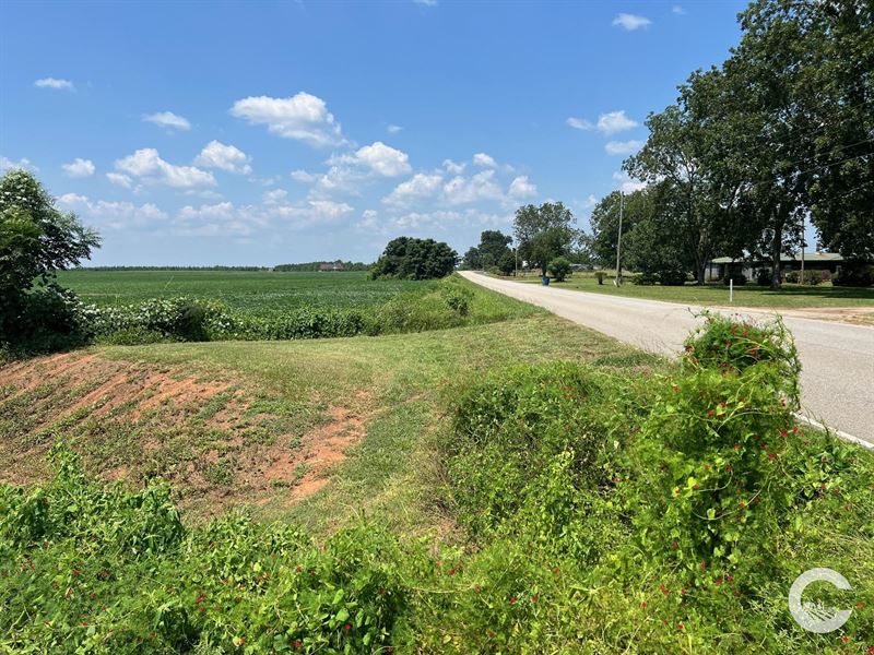 256+/- Acre Investment Opportunity : Brewton : Escambia County : Alabama