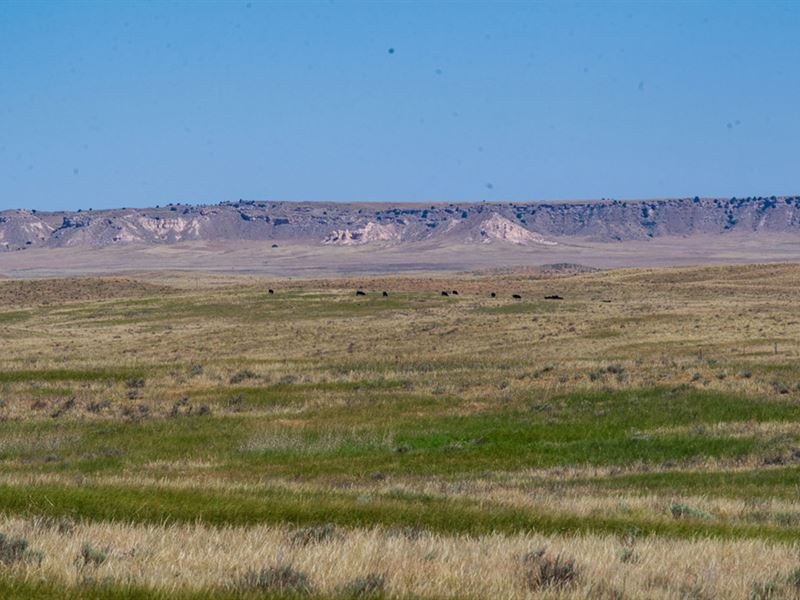 Downer Ranch : Torrington : Goshen County : Wyoming