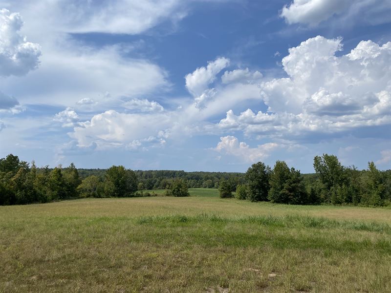 Home for Sale in Tn, 68 Ac, Pond : Adamsivlle : McNairy County : Tennessee