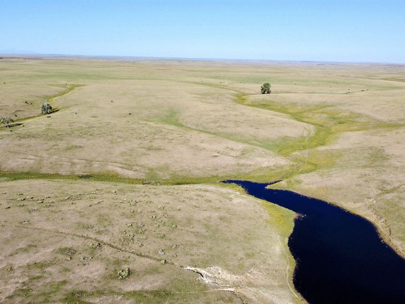 Limon 3 Section Pasture : Matheson : Elbert County : Colorado