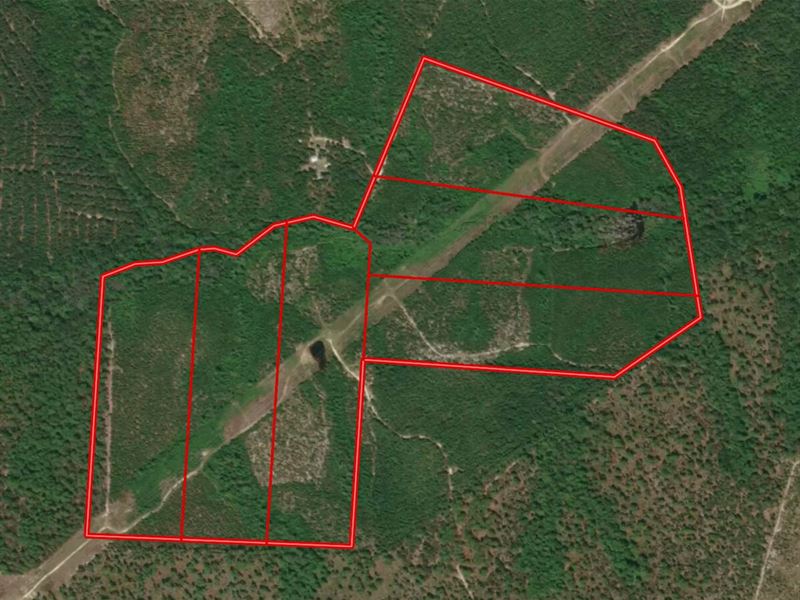 122.84 Acres : Ellerbe : Richmond County : North Carolina