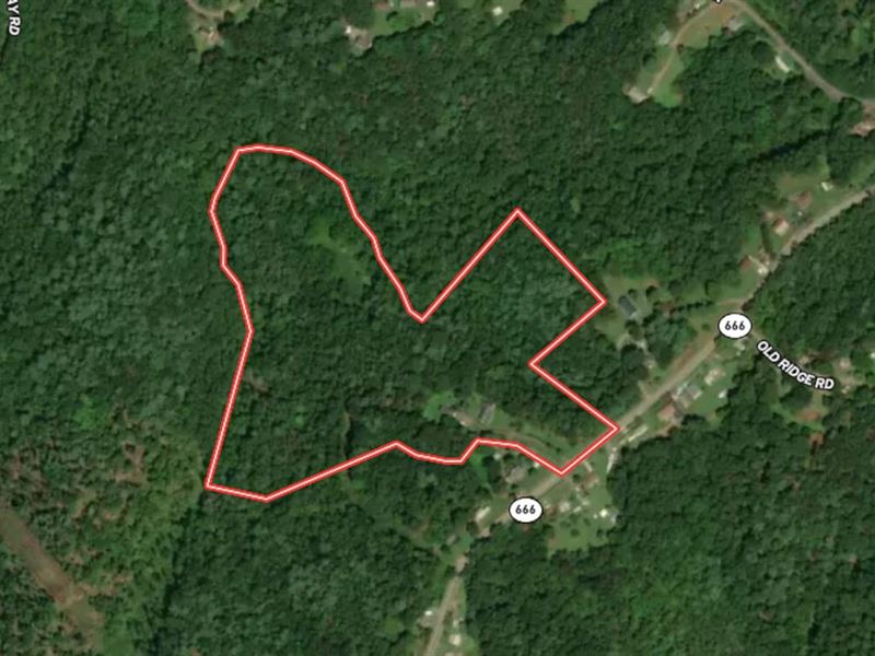 25.7 Acres of Res : Bassett : Henry County : Virginia