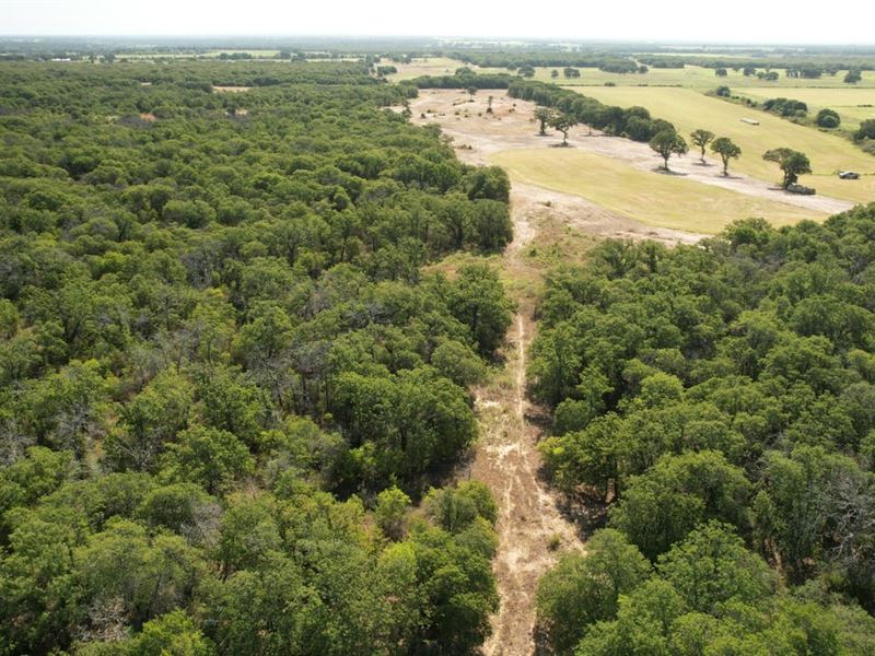 95 Acres Cisco TX : Cisco : Eastland County : Texas