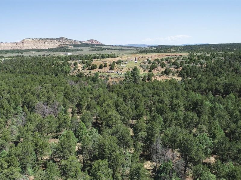 Regina Ranch East 50 Ac : Regina : Sandoval County : New Mexico