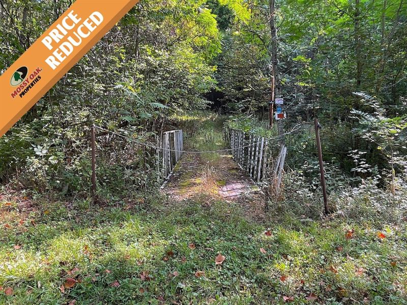 Porter Hollow Rd, 84 Acres, Ross : Frankfort : Ross County : Ohio