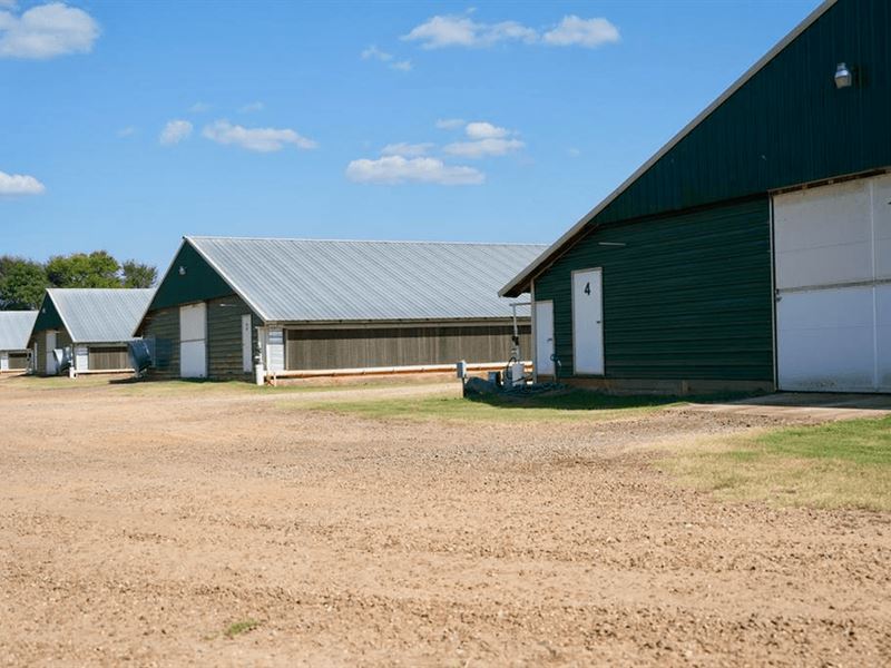 MS Poultry Farm Broiler Farm : Forest : Scott County : Mississippi