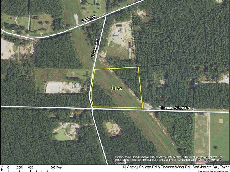 14 Acres Pelican Rd & Thomas Wind : Shepherd : San Jacinto County : Texas