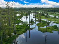 Tiger Back Lodge, Little River Coun : Ashdown : Little River County : Arkansas
