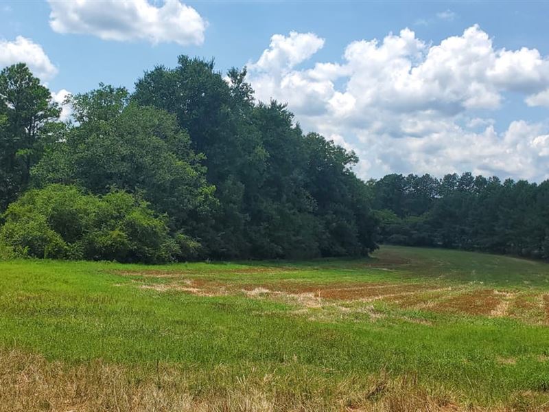 17Ac, 1250 Cole Rd Biscoe NC : Biscoe : Montgomery County : North Carolina