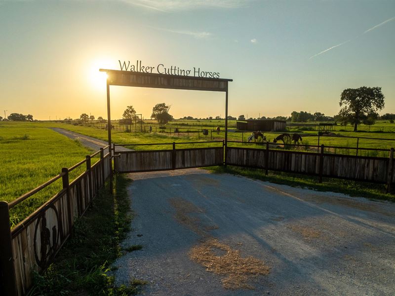 Walker Cutting Horses : Tolar : Hood County : Texas