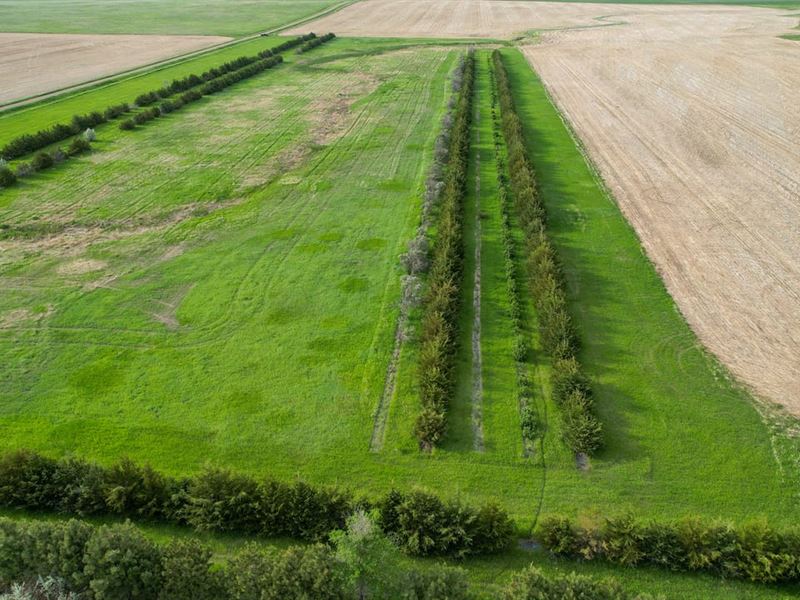 Agar Hunting Acreage : Agar : Sully County : South Dakota