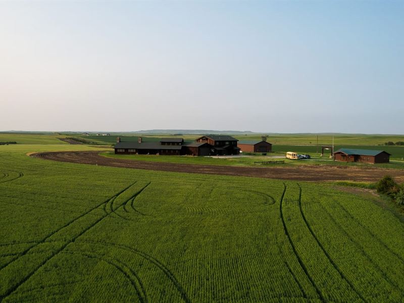 Wiley Cock Lodge : Winner : Tripp County : South Dakota