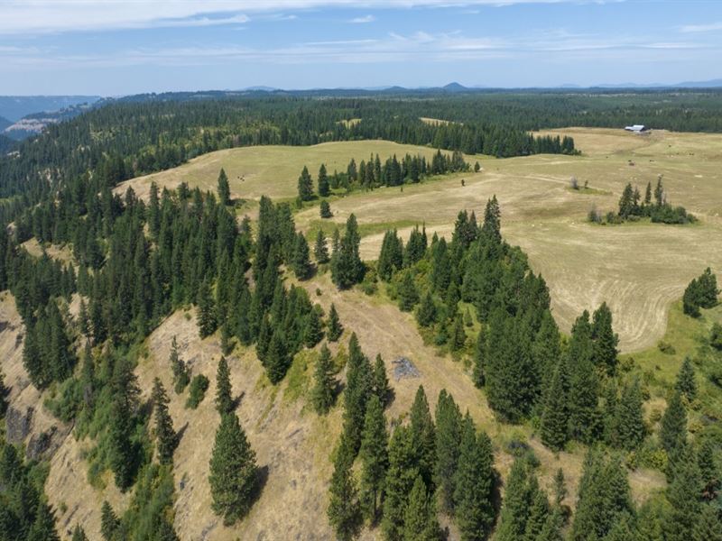 Rocking J Ranch, Parcels 16 & 17 : Weippe : Clearwater County : Idaho