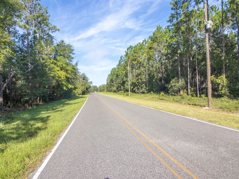 21.4 AC of Serene Country : Hawthorne : Putnam County : Florida