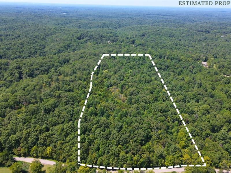 40.2 Acres, Williamson Co, Fairvi : Fairview : Williamson County : Tennessee