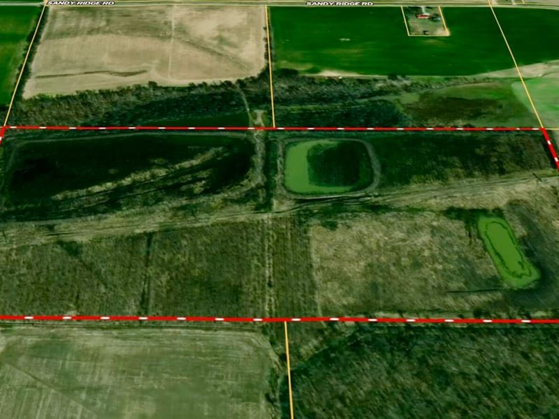 80 Wrp Acres Ready to Hunt : Olive Branch : Alexander County : Illinois