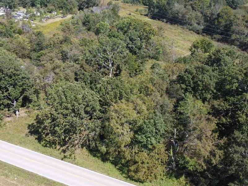 10 Acre Residential Lot for Sale : Naylor : Ripley County : Missouri