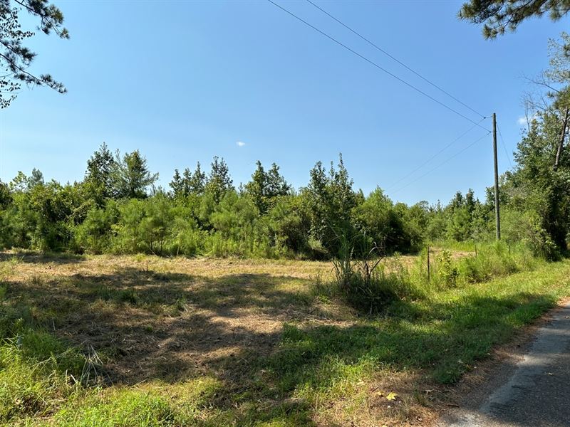 27.90 Acres in Amite County, MS : Liberty : Amite County : Mississippi