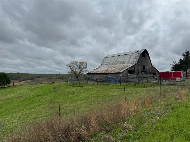 Overton Loop Homestead : Toone : Hardeman County : Tennessee