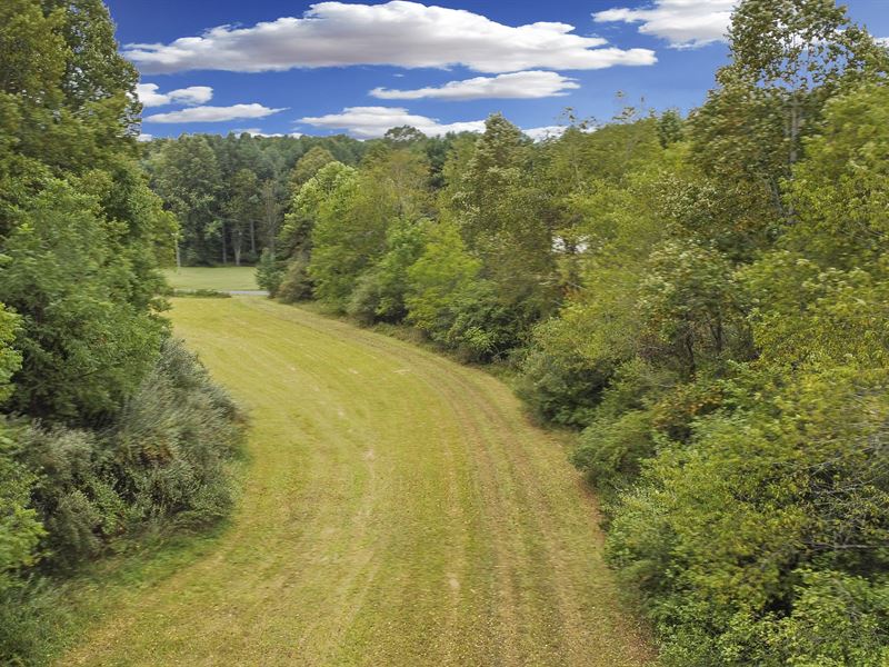 13 Acre Rural Playground : Bassett : Franklin County : Virginia