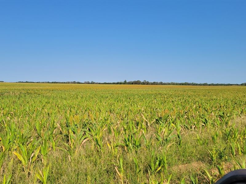 Ks, Barber 160 Acres : Sharon : Barber County : Kansas