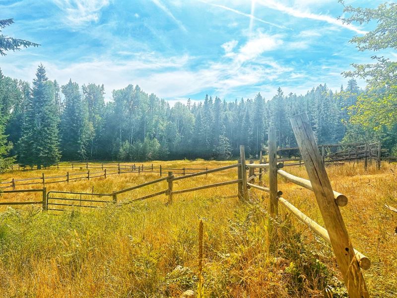 Horse Haven Ranch : Cocolalla : Bonner County : Idaho